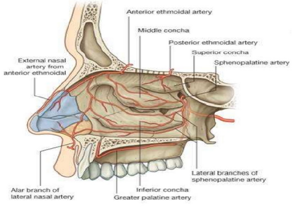 Physical Correlates and Surgical Considerations for Localized Therapeutic Hypothermia Application in Cochlear Implantation Surgery