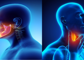 In Otology and Head and Neck Surgery, Neuromonitoring