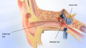 Paparella Prize for Outstanding Achievement in Clinical Otology