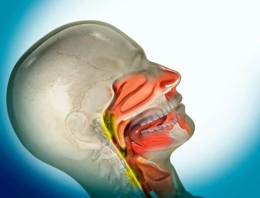 Endoscopic Nasopharyngectomy for Locally Recurrent Nasopharyngeal Carcinoma: How We Do It?