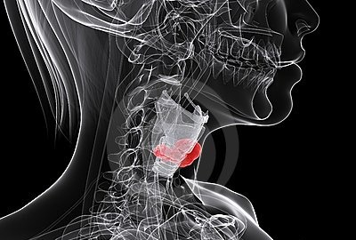 The Changing Role of Surgery in Contemporary Head and Neck Oncology