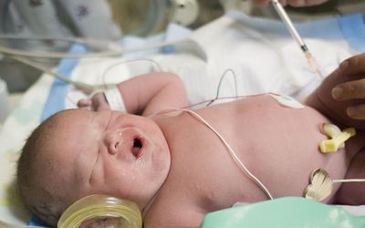 Professional Stigma on Weight in the Pediatric Care in Italy and Andalusia: Recognize it to Successfully Treat Obesity