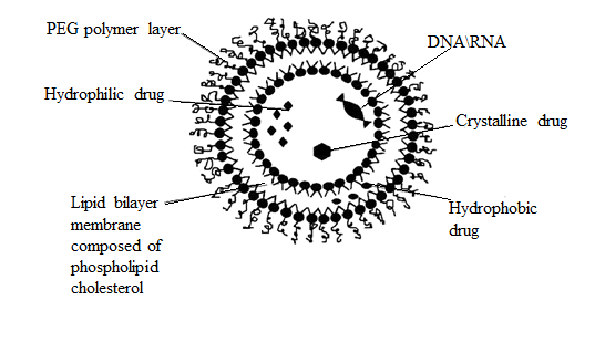 Effective Framework for Tumour Targeting: Review on Enzymosome