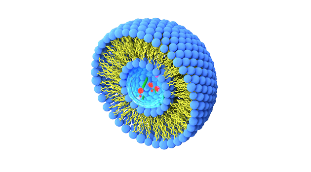 Liposomes for the Transdermal Delivery of Piroxicam