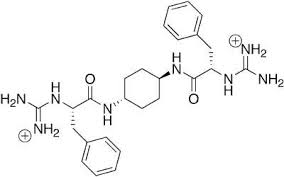 Improvement of Aerodynamic Behavior of Spray-Freeze Dried IgG Powder Applying Amino Acids