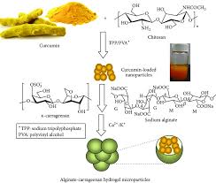 Curcumin Loaded Solid Lipid Nanoparticles Enhanced Efficacy in Vascular Dementia Against Homocysteine Induced Toxicity