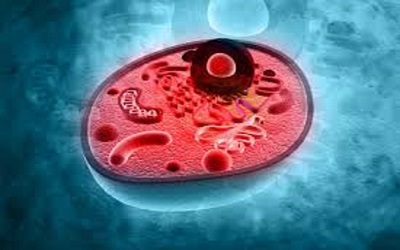 Introduction of Bio Pharmaceutics in Novel Drug Delivery Sysyem