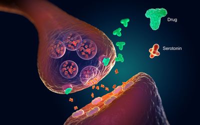 Comparative Modeling of Serotonin Receptors 5ht2a and 5ht2c and In-silico Investigation
of their Potential as Off-Target to Ethinylestradiol