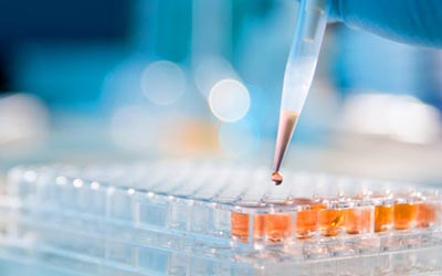 Structural Elucidation of Possible Metabolic Profile of Mangiferin by Oral and Intraperitoneal Administration