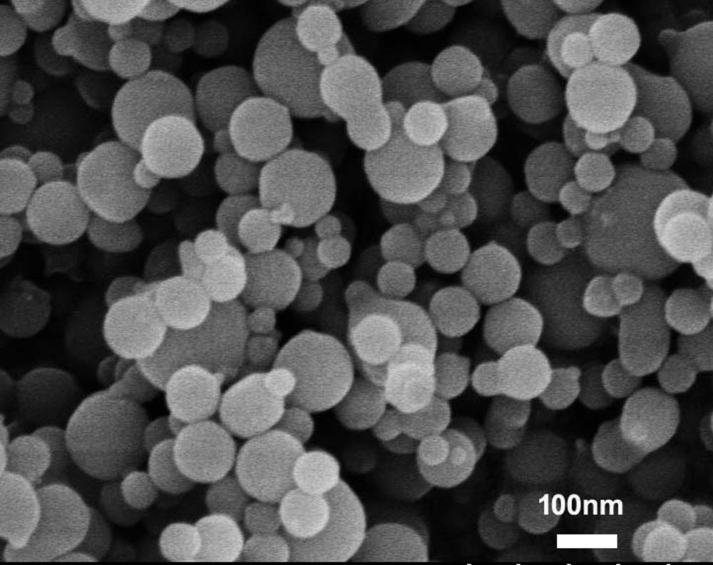 In vitro Cell Compatibility of Prepared Collagen–Glycosaminoglycans–Selenium Substituted Hydroxyapatite Nanopowders Composite Scaffolds