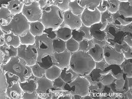 Resuable Pectinase Nano Polymeric Particles