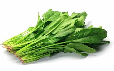 Altered Growth, Photosynthetic Machinery and Induced Oxidative Stress in Spinach in Response to Arsenic Stress