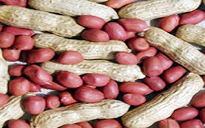 Effects of Chromium (VI) on Groundnut (Arachis Hypogeae L.) Metabolism