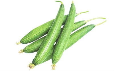 Nickel Stress Induced Antioxidant Defence System
in Sponge Gourd (Luffa Cylindrical)