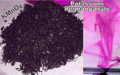 Effect of Potassium Permanganate Preparation on Reductive and Respiratory Activities of the Root System under Salinity