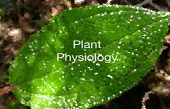 Exploring Emerging Innovations in Plant Science & Physiology