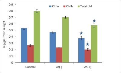 Effects of Zinc Stress on Growth, Photosynthetic Pigments, Antioxidative Enzymes and Protein Content of Black Gram