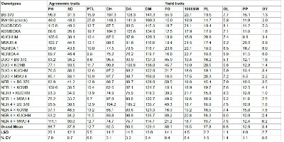 Combining Ability of Agronomic and Yield Traits in Rice Genotypes