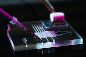 Nanotechnology for the Modern World