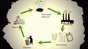 Past Conference Report of Biopolymers & Bioplastics Conference