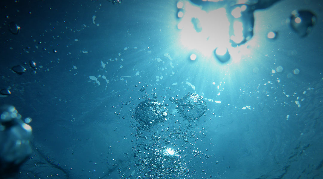 Polymer Degradation and Stability