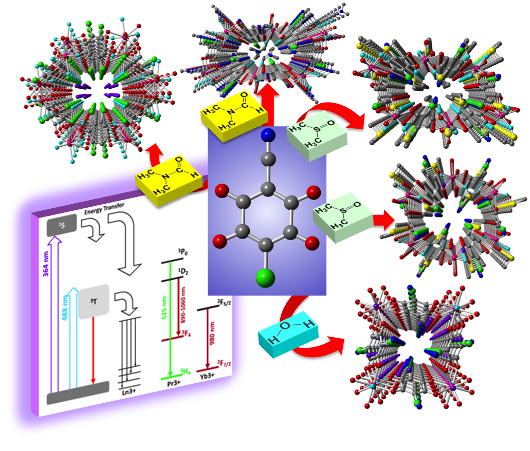 Coordination Polymers with Nucleobases