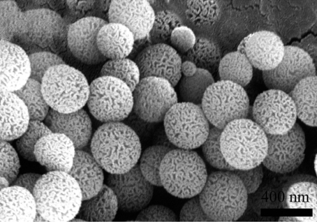 Biomass, Abundant Resources for Synthesis of Mesoporous Silica Material