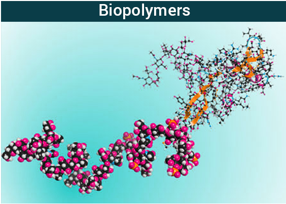 Biopolymers and DualPolarization