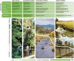 Polymers Respond to Environmental Conditions