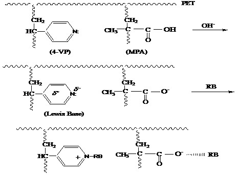 Synthesis and Use of PET Fibers Grafted with 4-Vinyl Pyridine and 2-Methylpropenoic Acid for Removal of Rhodamine B and Methylene Blue from Aqueous Solutions