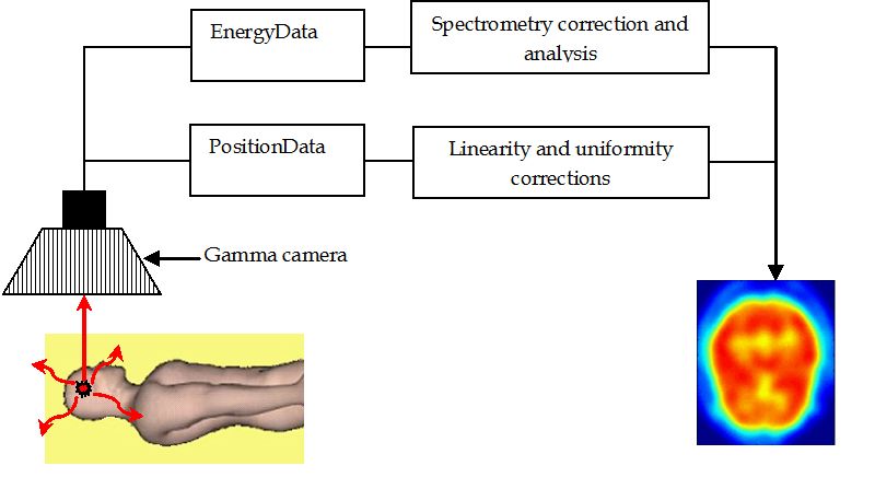 Radiology and radioactive techniques procedure