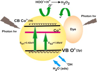 Photocatalytic Oxidation Utilizing 
CoO nanoparticles for Color 
Evacuation