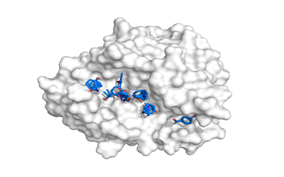 Structure Based Docking of Small Hirudin like Peptides with Thrombin