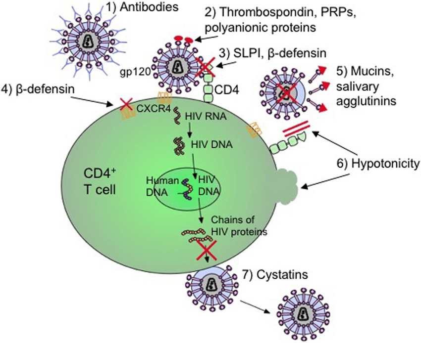 HIV Virus Infection: The Global Scenario