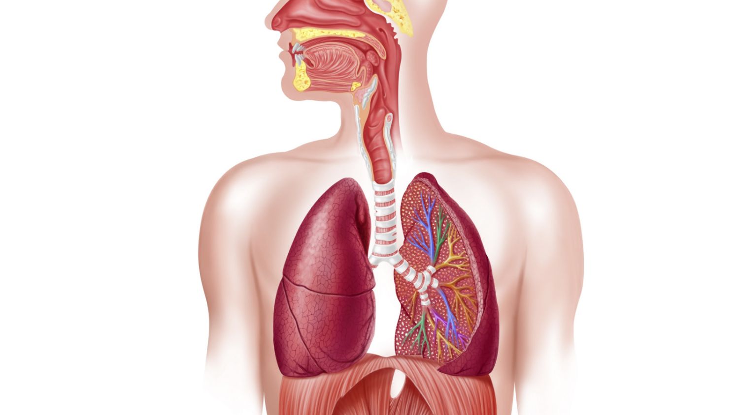 Respiratory sinus arrhythmia