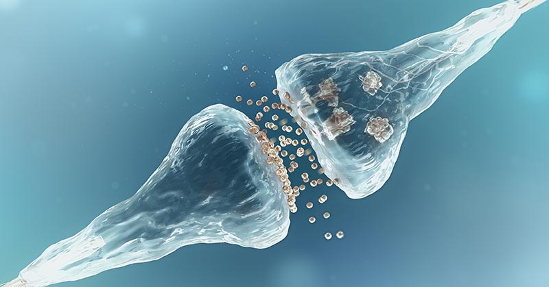 Intramuscular EMG Can Be
Performed Using a Variety of
Different Types of Recording
Electrodes