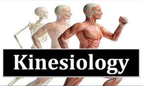Kinesiology Is a Professional Designation As Well As an Area of Study