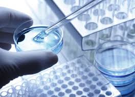 Regenerative Medicine 2020 Editorial Note