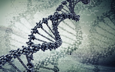 From Nanotechnology to Epigenomics and Regenerative Medicine