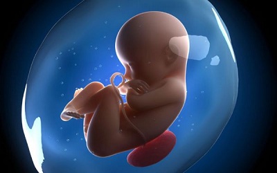 Expression of CD146 on Human Placenta-Derived Mesenchymal Stromal Cells and their Osteogenic Differentiation Capacity are Modulated by Factors Contained in Platelet Lysate