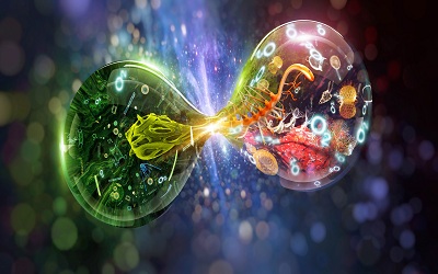 Progenitor Subpopulations of Valvular Cells Resembling Hematopoietic and Mesenchymal Stem Cells and their Role in Myofibroblastic Activation