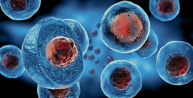 Literature Review on Recent Clinical Studies Using Autologous Human Adult Stem Cells and Induced Pluripotent Stem Cells
