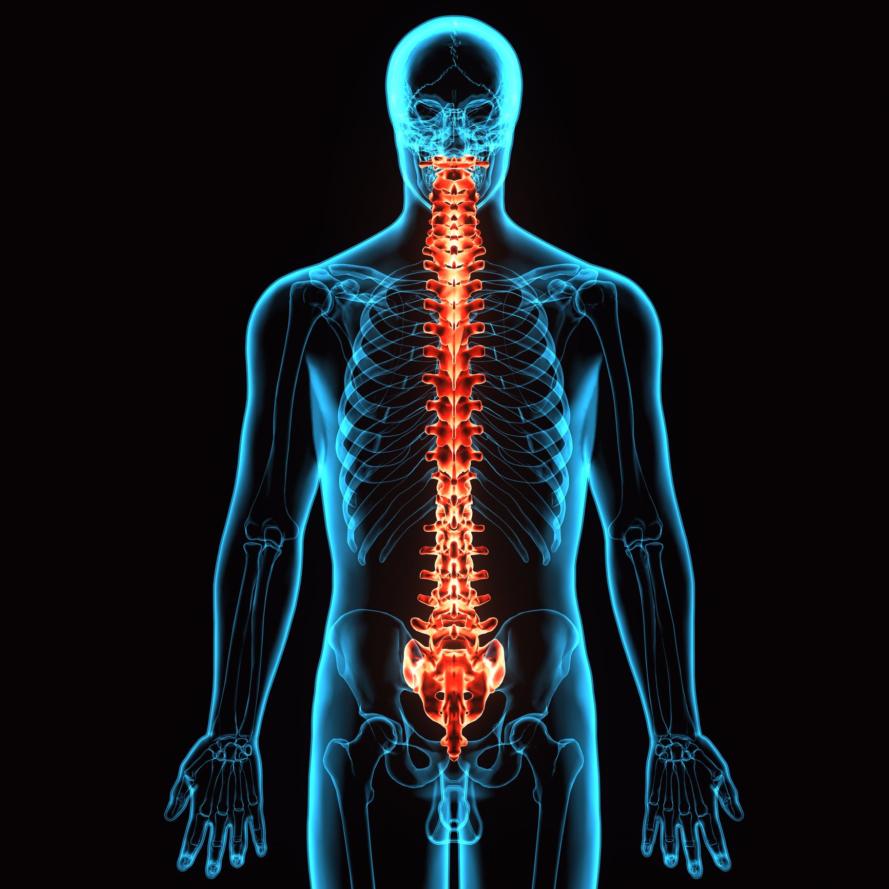 Cortical and Cancellous Bone Regeneration in Cranioplasty and Spinal Arthrodesis Models Using Autologous Homologous Bone Construct (AHBC)