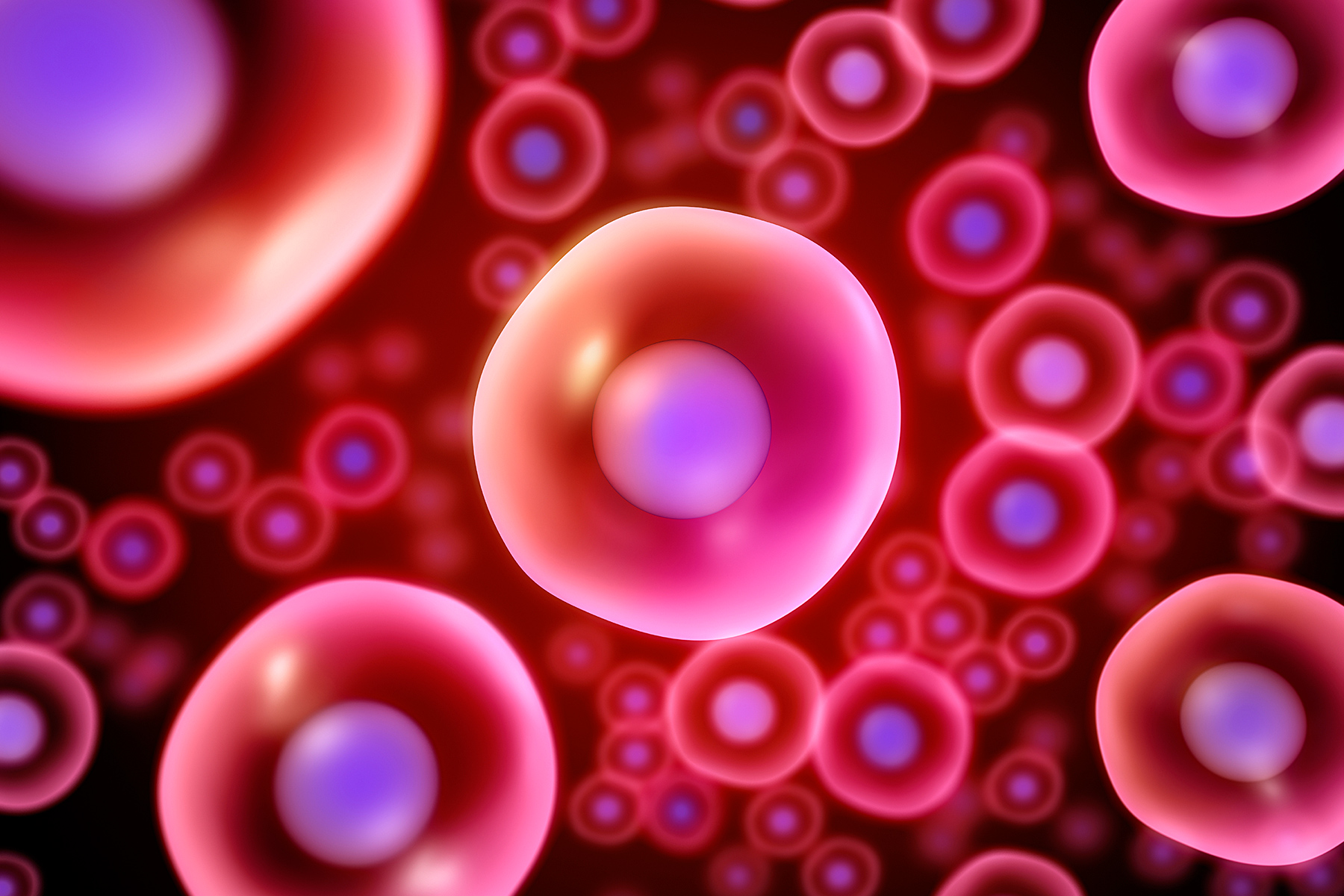 Stem cell transplant within the Treatment of Wounds
