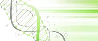 XIAP-AS1 is a New Long Non  Coding RNA