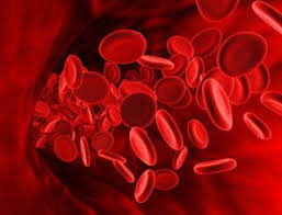 To Predict the COVID-19  Severity in Patients with Diabetes Using Hemoglobin A1C