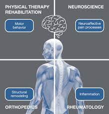 Accomplishments in Regenerative Rehabilitation and Related Treatments of Musculoskeletal and Neurological