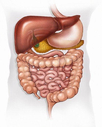 Laparoscopic Removal of Foreign Body from Colon
