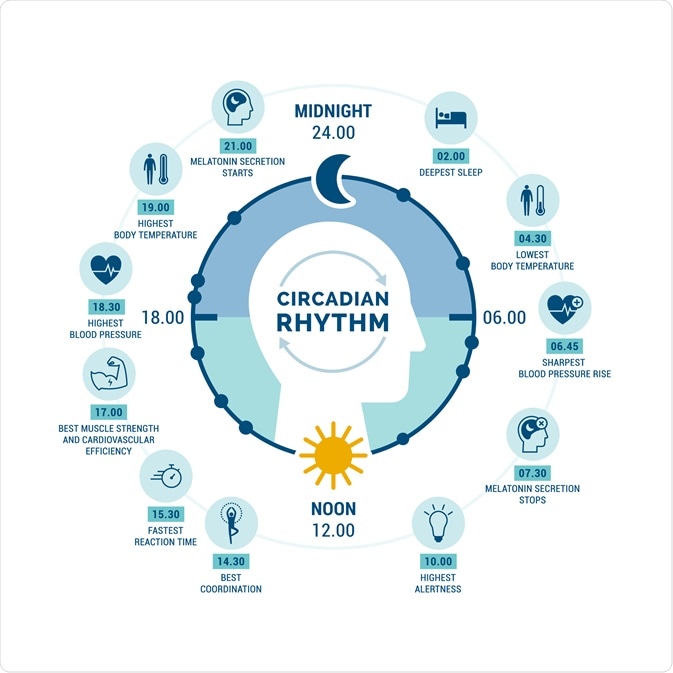 Rhythmic Stages of Sleep Pattern Effecting Normal Day to Day Life