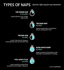 Analysis of Sleep Deprivation Studies in Adults and Effects of Napping